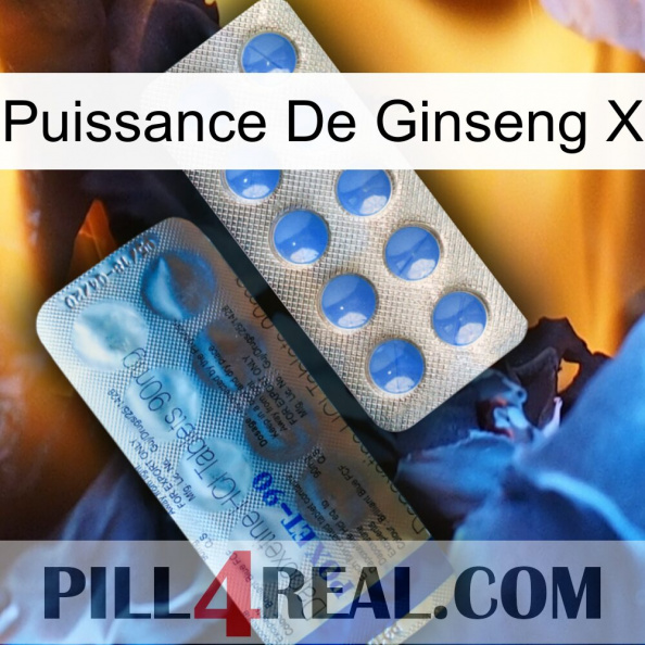 Ginseng Power X 40